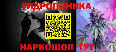 молекула духа Лесосибирск
