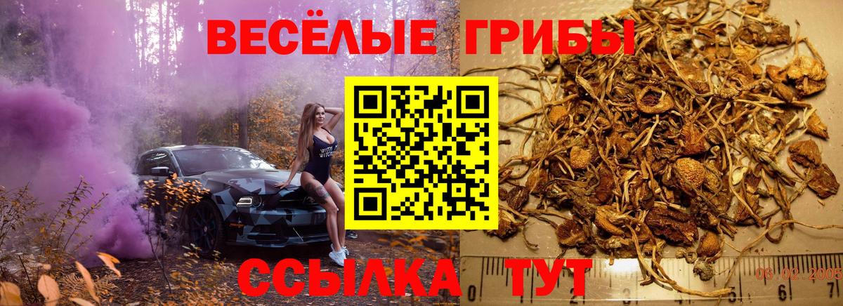 Галлюциногенные грибы ЛСД Шебекино