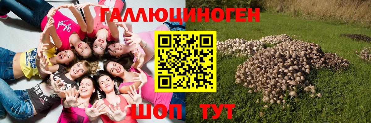 Шебекино  Псилоцибиновые грибы ЛСД  Вход с VPN 